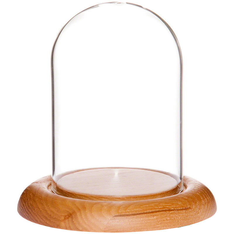 Vucciria 3" x 4" Glass Display Dome Cloche, Oak Base