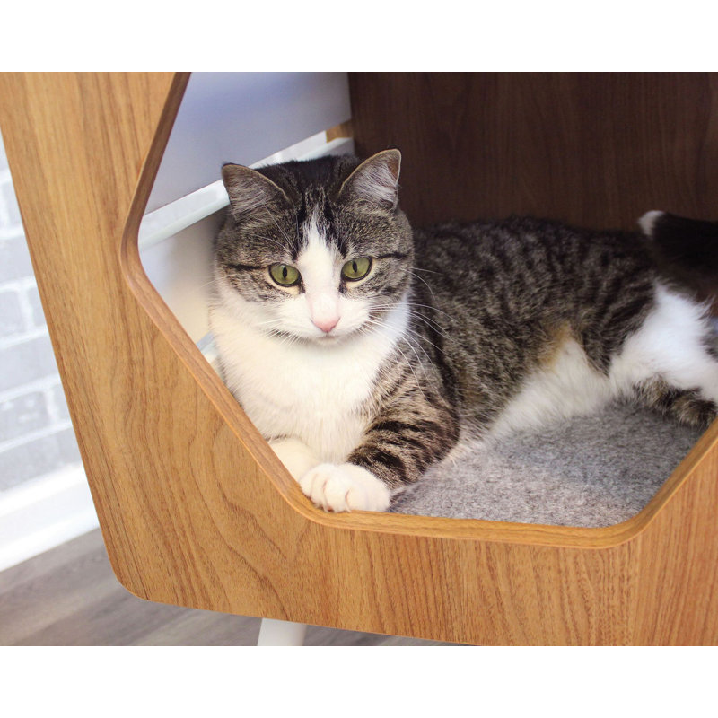 Fumi Pet Bed