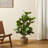 Amee 41.25" H Faux Fiddle Leaf Fig Tree in Pot