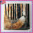 Fox In Forest Collage Bedding Fox Bedspread Animal-125325284