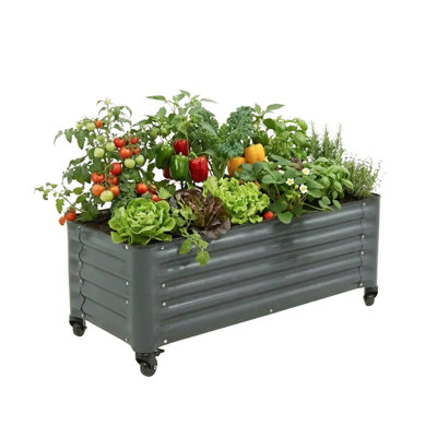 Jardinière surélevée pour l'extérieur de 19 po de hauteur et 48 po de long avec roues