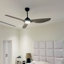 Anston 65cm Ceiling Fan with LED Lights