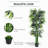 70.75'' Faux Moss Tree in Cement Pot