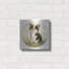 "Chihuahua Sentadito" par John Silver-1678602258