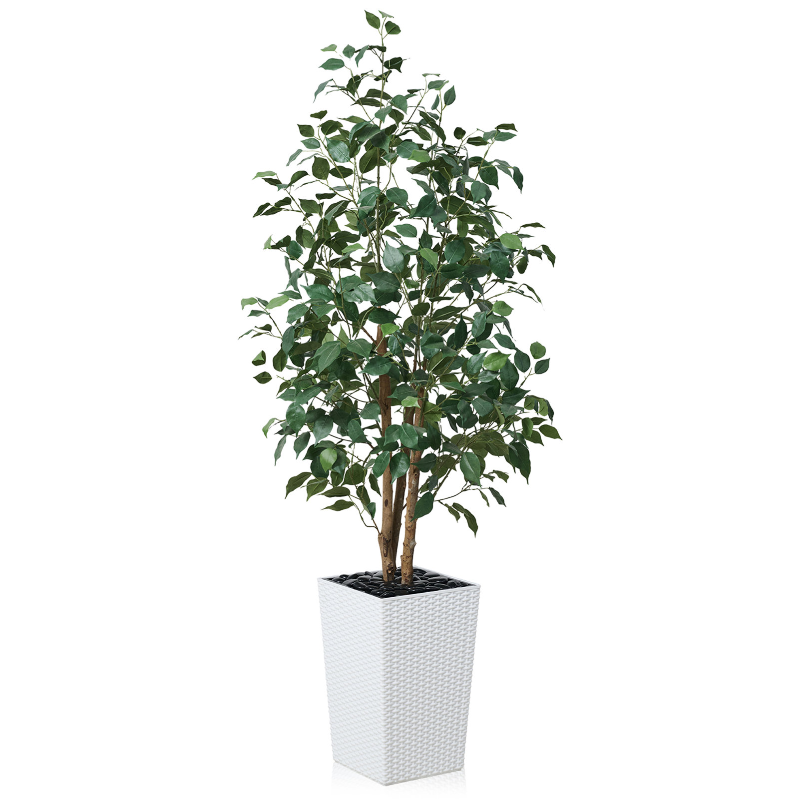Almont Ficus Tree in Decorative Vase, 60" H x 20" W x 20" D, White