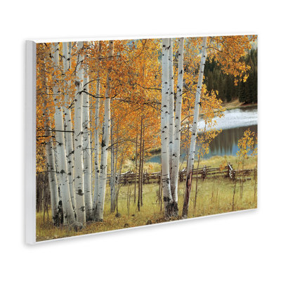 Plaque murale Autumnal Birch Beauty, design par Mike Jones