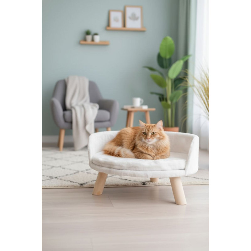 Lit pour chat