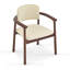 Chaise rembourrée avec accoudoirs (ensemble de 2)