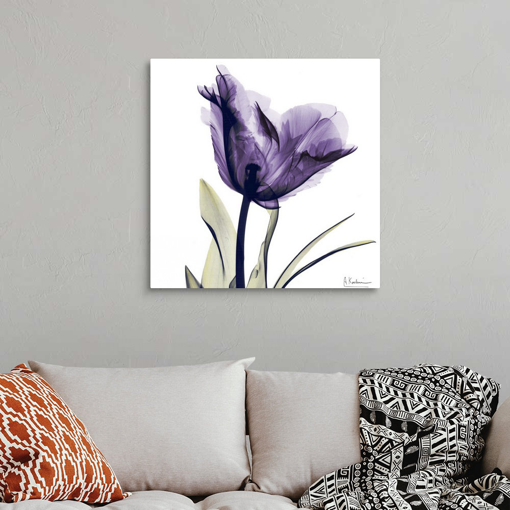 Manigault 'Purple Flower by Kiranjit Photographic Print Wade Logan® 