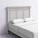 Exmouth Headboard