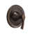 Bronze is out of stock selected