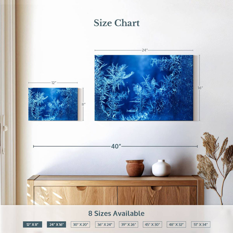 Alvord Winter Frost Forms