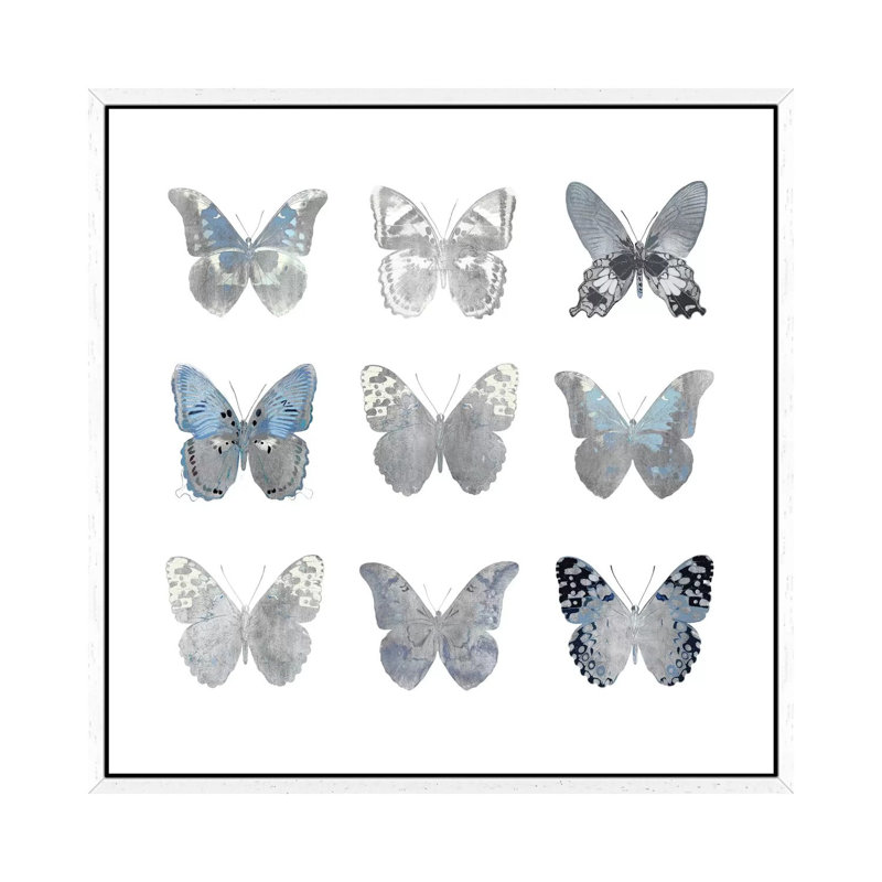 Butterfly Study II by Julia Bosco - Gallery-Wrapped Canvas Giclée on Canvas, White Framed, 93.98cm H x 93.98cm W