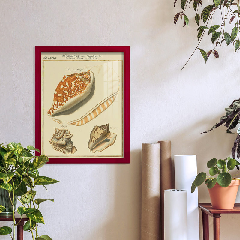 Coquilles de martini antique III sur papier, Rouge, H 15 po x l 12 po x P 1 po