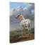 The Piebald Horse by Paulus Potter - Wrapped Canvas-61850497