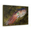 «Squid Hunting Squid on Hunt», reproduction d'art mural-554734498