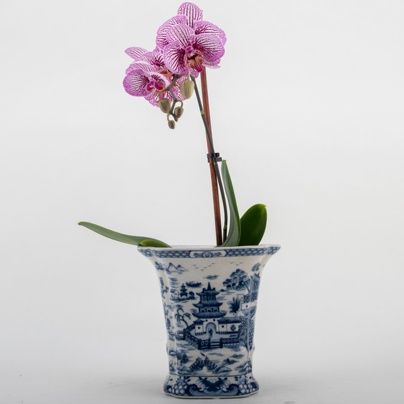 Handmade Planter