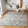 Saira Berber Shag Performance Geometric Rug