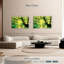 Kerrick Forest Sunburst-108974655