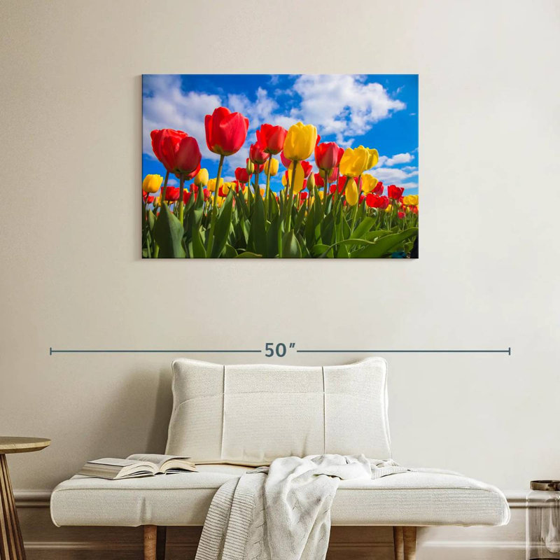Champ de tulipes Harnek Spring, H 24 po x l 36 po