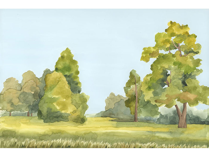 «Bright Forest V» par Giselle Kelly, art mural encadré, Image au gel brossé