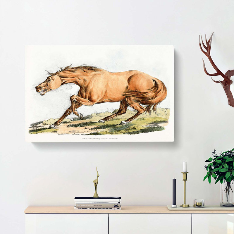 Horse by Henry Alken - Wrapped Canvas, 35cm H x 50cm W x 3cm D