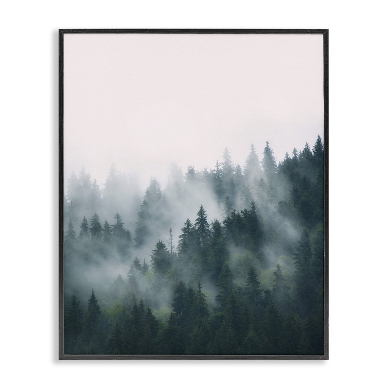 "Stupell Industries Misty Forest Trees", art mural sur toile par Sissi et Seb, H 30 po x l 24 po x P 1,5 po