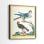 Pastel Birds III - reproduction encadrée de qualité supérieure - prête à être accrochée - aucun clou requis - aucun clou requis-408530412-408530411