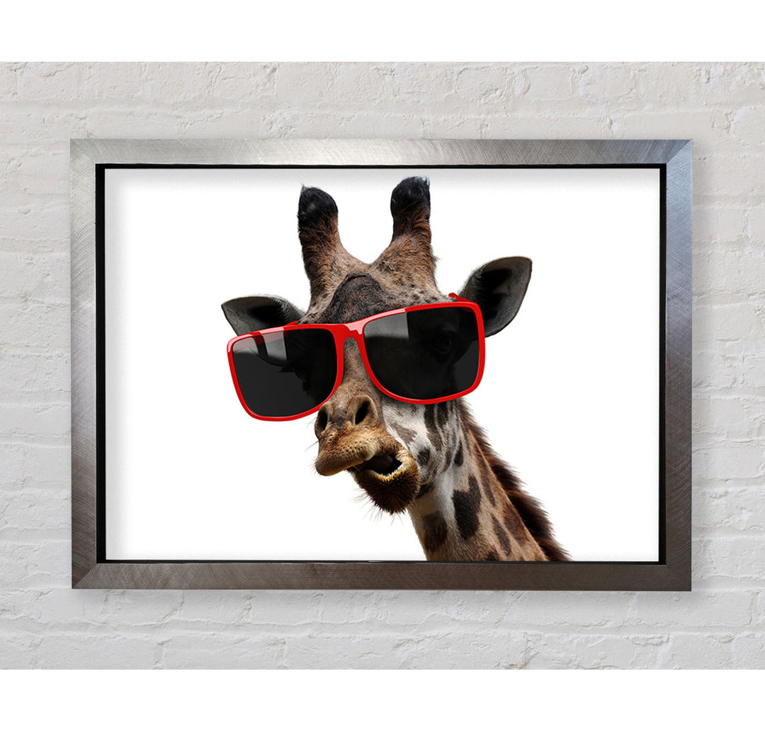 Funky Faced Giraffe - Einzelner Bilderrahmen Kunstdrucke