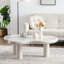 Table basse moderne-166877436-140121829