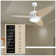 Light Pro In. LED Indoor Smart Ceiling Fan With Remote Control