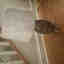 Customer photo 3 of 3