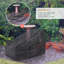 Chaise berçante Adwick-708493817-694511719