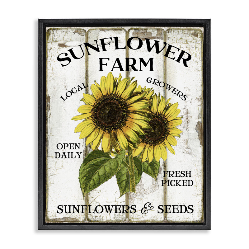 Art mural encadré sur toile flottante, tournesol antique par Creatif Belle, Cadre flottant noir de jais, H 21 po x l 17 po