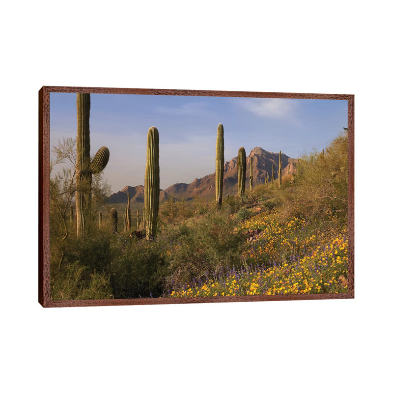 Saguaro Cacti And California Poppy Field At Picacho Peak State Park, Arizona 1 Piece Wall Art on Canvas, Classic Wood Framed