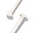Evento Gift Box - Stainless Steel Ice-Cream Spoon - 6 Pcs.