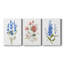 Petite Botanical I - Ensemble de 3 reproductions d'art sur toile tendue-1868167148