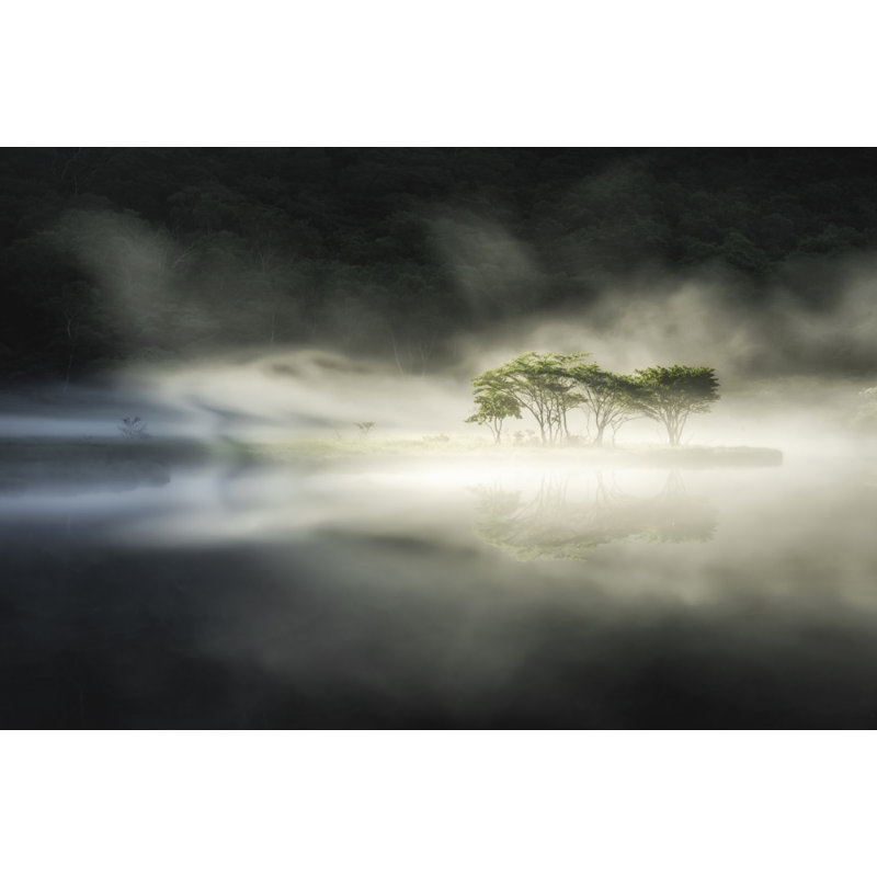 Wrapped Canvas Print, 50.8cm H x 76.2cm W