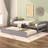 Platform Bed With  Trundle-539664824