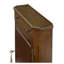 Chameleon Solid Wood Accent Chest