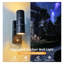 Matte Black Outdoor Sconce