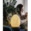 La lampe marguerite-125499958