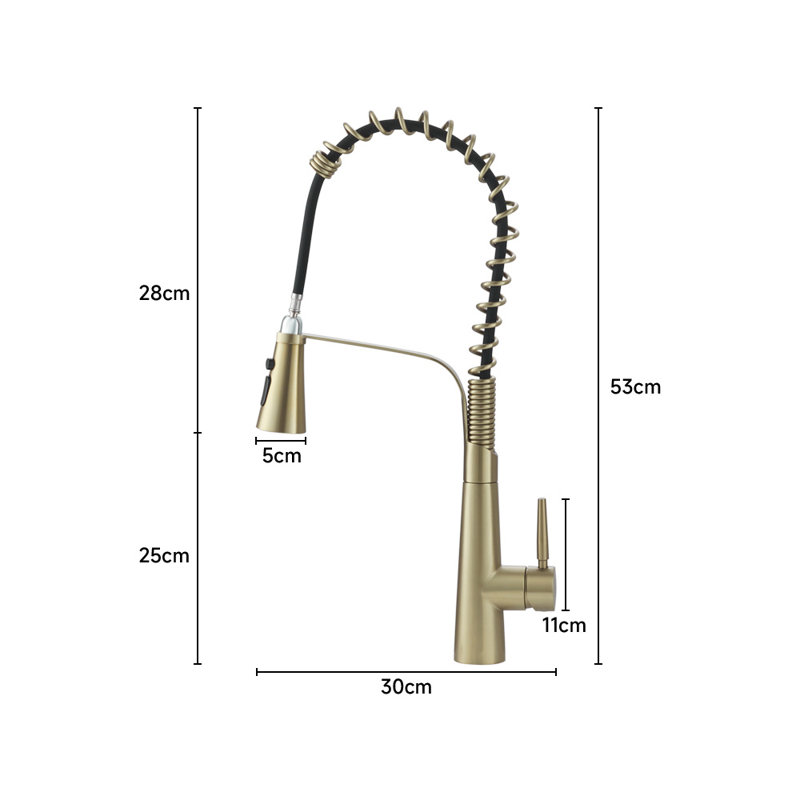 Belfry Kitchen Apollinaris Kitchen Faucet, Gold