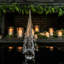 Spruce Evergreen-75249383