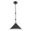 Luminaire suspendu cône 1 lumière Harvest-877214468-877214471