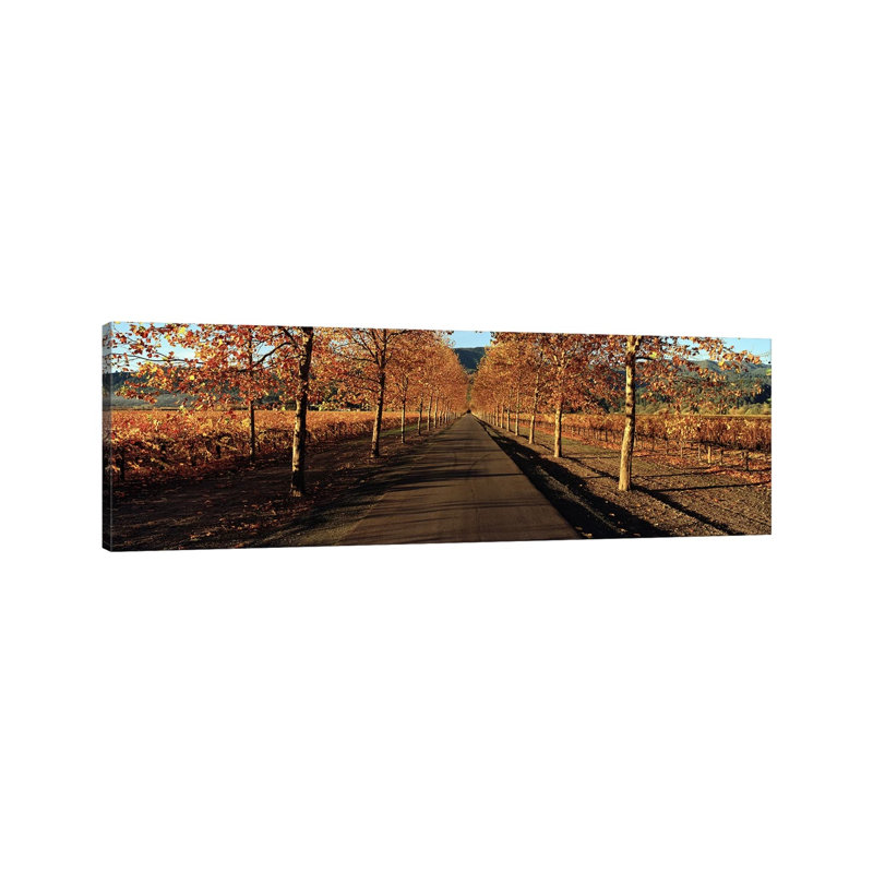 Autumn Vineyard Landscape, Beaulieu Vineyard, Rutherford AVA - Wrapped Canvas Panoramic Print