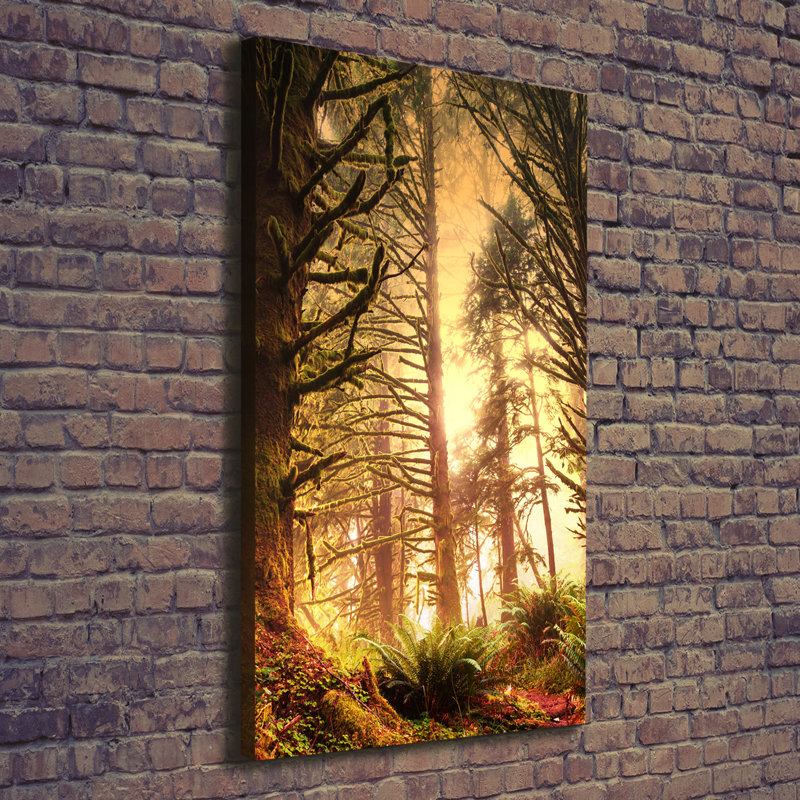 The Rainforest - Wrapped Canvas Print
