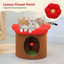 Maison pour chat avec arbre, lit troglodyte et coussin pour chat à fleurs amovible