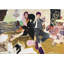 The Collectors Print