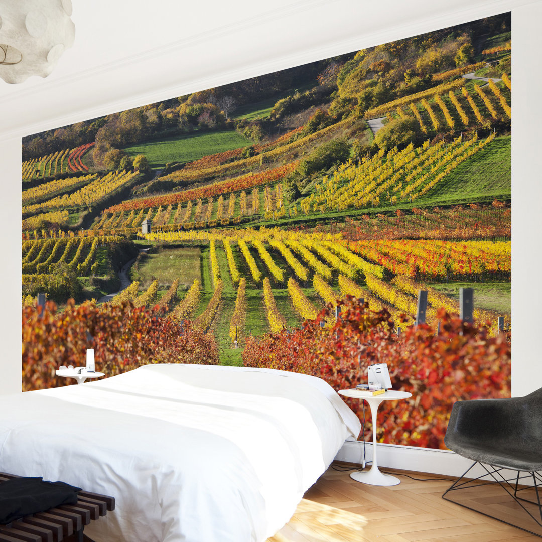 View of a Vineyard 2.9m x 4.32m Embossed Matte Peel & Stick Wallpaper Roll